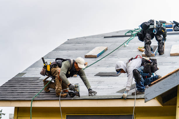 Professional Roofing technician working in Little Lake, CA
